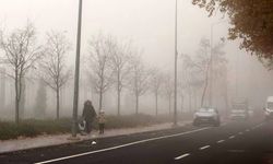 Dr. Bodur: Sis, zararlı partikülleri aşağıya indiriyor