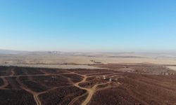 Şırnak İdil’de taşlık araziler tarıma kazandırılıyor