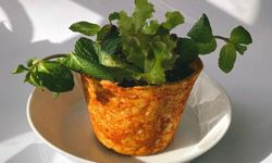 MasterChef Türkiye Ben Saksı Değilim nasıl yapılır?