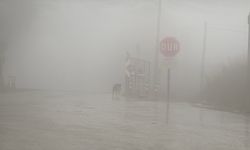 Bolu'da görüş mesafesi 30 metreye kadar düştü