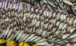 Bolu'da vatandaşlar hamsi bulamayınca istavrite yöneldi