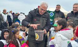 Harmancık’ta yanan ormanlar yeniden yeşeriyor