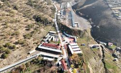 Çankaya Barınağı 1500 kapasiteye ulaştı