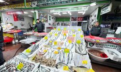 Denizli esnafı: Kış gecikti, balığın tadı kaçtı