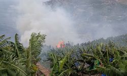 Antalya Gazipaşa’da muz bahçelerinde yangın