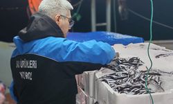 Gelibolu’da yasak avlanan 45 kilo balığa el konuldu