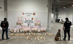 Gümrük Muhafaza’dan dev operasyon