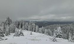 Ilgaz Dağı kar yağışıyla beyaza büründü