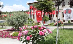 Keçiören’in çiçekleri kendi serasında yetişiyor