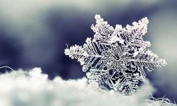 Kahve falında kar tanesi figürü ne anlama gelir?