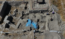 Kültepe’de 4 bin 500 yıllık kurutulmuş meyveler bulundu