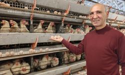 Simav’da yeni yumurta üretim tesisi faaliyete geçti