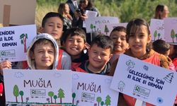 Muğla’da 20 bin fidan toprakla buluşuyor