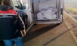 Tekirdağ Muratlı’da 400 kilo kokoreç imha edildi