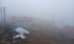 Posof'ta sürücülere sis ve buzlanma uyarısı