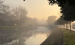 Sakarya'da sabah saatlerinde etkili olan sis görsel şölen sundu