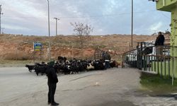 Siirt hayvan pazarı 2 Temmuz’dan sonra yeniden faaliyette