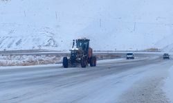 Van-Bahçesaray karayolu çığ nedeniyle ulaşıma kapatıldı
