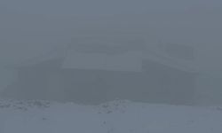 Yüksekova’da yoğun sis uçuşları durdurdu