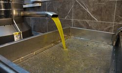 Aydın’da zeytinyağı fiyatları yüzde 35 arttı