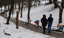 Ankara yeni yıla karla girdi