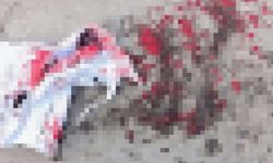 Altındağ’da başıboş köpek dehşeti