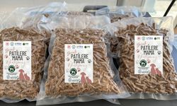 Kızılcahamam'da yemek atıkları hayvanlar için umut oluyor