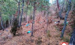 Kuzey Kore–Güney Kore hattında yeni kriz