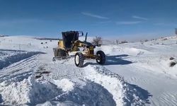 Elazığ'da kar yağışı köy yollarını kapattı