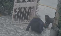 Ankara’da sokak köpekleri dehşet saçtı