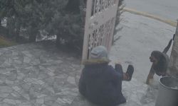 Ankara'da köpeklerin saldırısında komşular hayat kurtardı