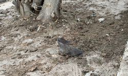 Altındağ’da yağış nedeniyle kontrolden çıkan motosiklet can aldı