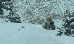 Artvin’de 43 köy yolu kar nedeniyle kapandı