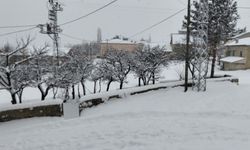 Bayburt’ta köylüler kardan kapanan yolları imeceyle açtı