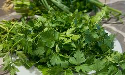 Kış hastalıklarına karşı C vitamini kalkanı