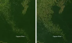 Brezilya, vergi teşviğini kaldırarak Amazonları riske attı