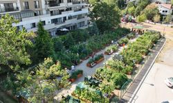 Çankaya’da Kent Bostanlarında ilkbahar eğitimleri başlıyor