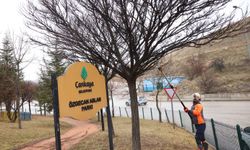 Çankaya’da park ve sokaklarda budama çalışmaları