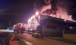 Çorum'un Osmancık ilçesindeki ekmek fabrikasında yangın