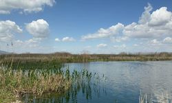 Kuraklıkla mücadele eden Eber Gölü'ne can suyu