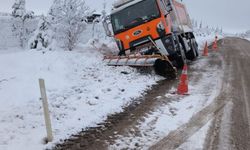 Mihalıççık’ta kar küreme kamyonu yoldan çıktı