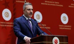 Fidan: Gümrük Birliği ve vize serbestisi öncelikli hedef