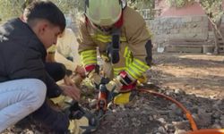 Hatay’da zincire sıkışan köpeği itfaiye kurtardı