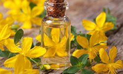 Kantaron yağının bilinmeyen faydaları!
