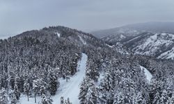 Kastamonu'da karla kaplanan ormanlar görsel şölen sunuyor