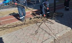 Sincan’da parklar ve yeşil alanlar yenileniyor