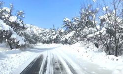 Tunceli’de ocak yağışları 65 yılın rekorunu kırdı