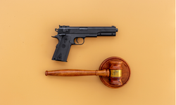 Yasal olarak silah taşıma hakkı hangi meslek grubunda yoktur?