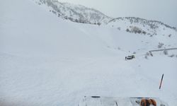 Yedisu-Karlıova kara yolunda çığ