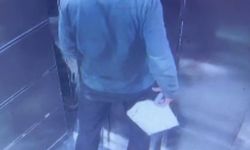 Asansördeki pis kokunun kaynağı kargocu çıktı